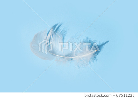 Colorful pattern made of feathers. Colorful pattern made of feathers. 67511225