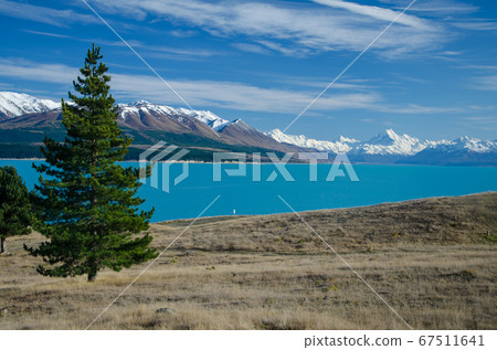 Distant view of Mount Cook across Lake Pukaki with tree on the left, South Island, New Zealand Distant view of Mount Cook across Lake Pukaki with tree on the left, South Island, New Zealand 67511641