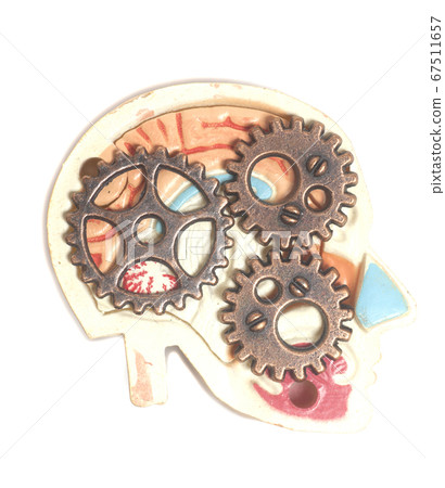 Human head model with gears 67511657