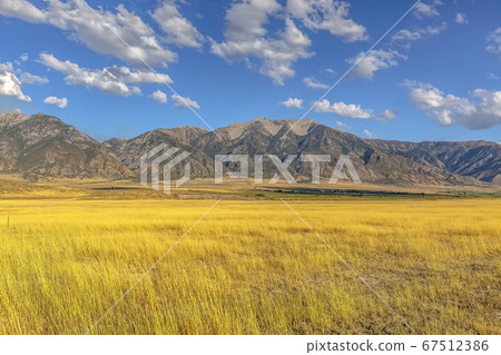 Mountain beyond grasses under blue sky with clouds 67512386