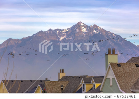 Homes and birds against Mount Timpanogos and sky Homes and birds against Mount Timpanogos and sky 67512461