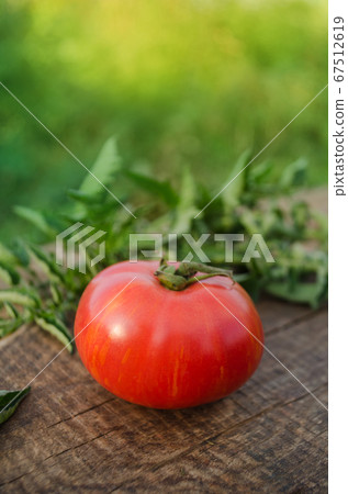 Fresh organic juicy tomatoes. Berkeley Tie Dye Fresh organic juicy tomatoes. Berkeley Tie Dye 67512619