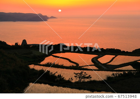 [Yamaguchi Prefecture] Togo Hata terraced sunset 67513948