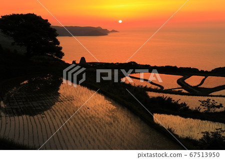 [Yamaguchi Prefecture] Togo Hata terraced sunset 67513950