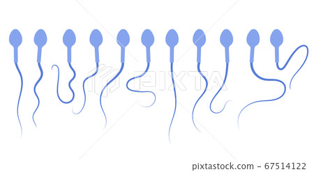 Reproductive system concept Reproductive system concept 67514122