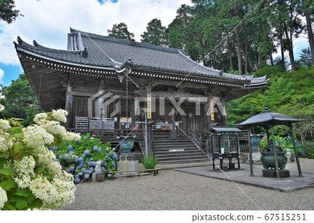 [Kannonji（繡球花）]京都府福知山市Kannonji 67515251