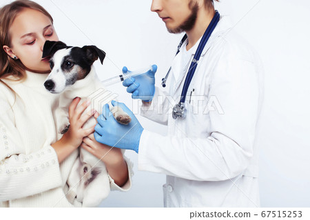 young veterinarian doctor in blue gloves examine little cute dog jack russell isolated on white background with owner blond girl holding it, animal healthcare young veterinarian doctor in blue gloves examine little cute dog jack russell isolated on white background with owner blond girl holding it, animal healthcare 67515253