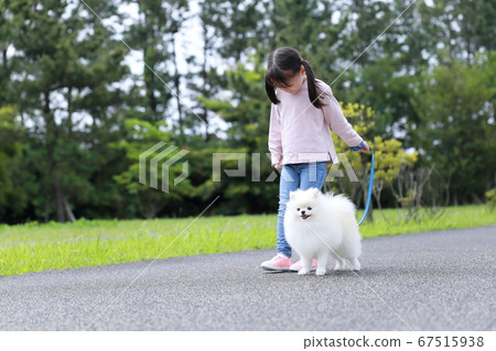 公園裡的女孩和她的狗博美犬同行 公園裡的女孩和她的狗博美犬同行 67515938