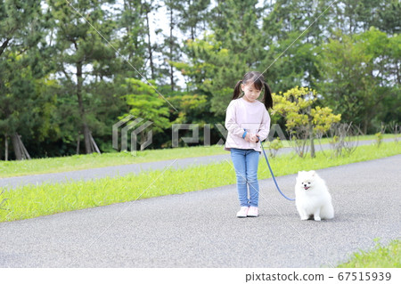 公園裡的女孩和她的狗博美犬同行 公園裡的女孩和她的狗博美犬同行 67515939