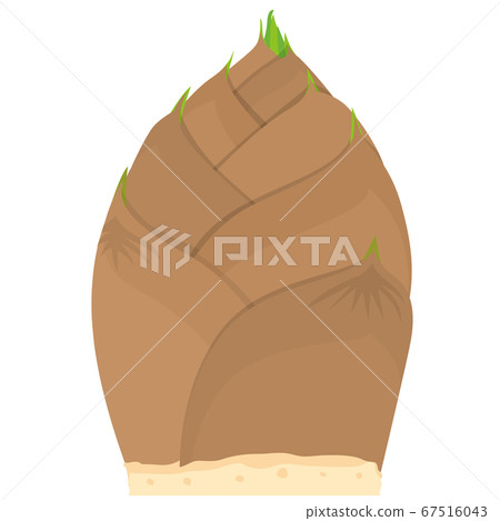 Bamboo shoot with pop illustration 67516043