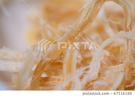 Saki squid Saki squid 67516188