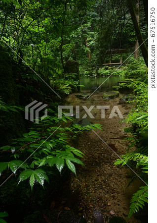 Image of the waterside 67516750