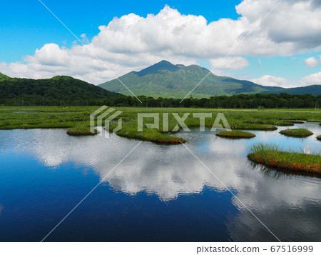 Ozegahara在初夏 67516999