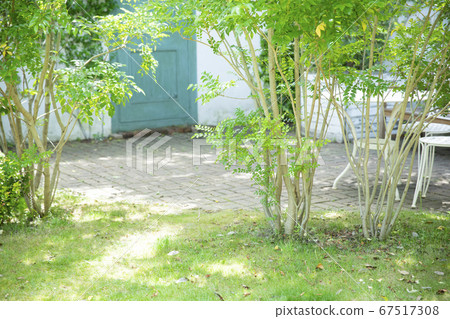 花園新鮮綠色初夏 67517308