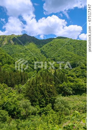 The scenery in front of Dotaru Station on the Joetsu Line, when the trees are green, in the mountains, in Yuzawa Town, Niigata Prefecture The scenery in front of Dotaru Station on the Joetsu Line, when the trees are green, in the mountains, in Yuzawa Town, Niigata Prefecture 67517347