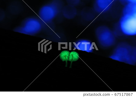 Forest Fairy 9581 67517867