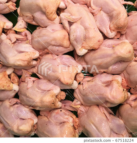 Dead chicken in Market 67518224