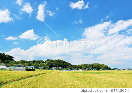秋天的藍天和碩果累累的鄉村景觀 秋天的藍天和碩果累累的鄉村景觀 67518664