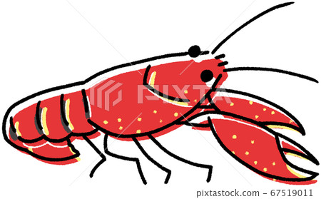 American crayfish (shift) 67519011