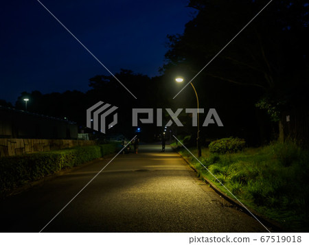 Night park 67519018