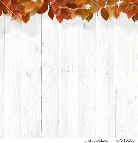 White wood texture and autumn leaves 67519296