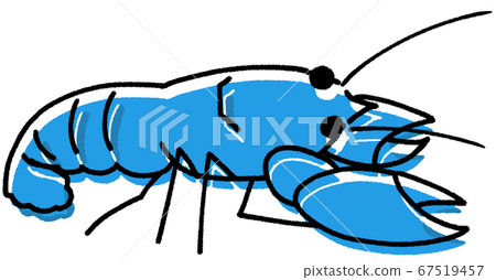 Japanese crayfish (blue color shift) 67519457