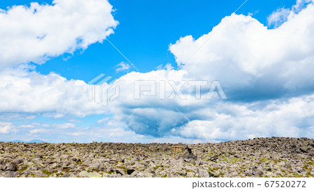 Tateshina mountain climbing in early summer: Scenery of the summit Tateshina mountain climbing in early summer: Scenery of the summit 67520272