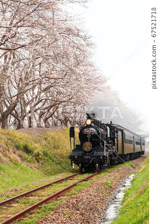 火車 列車 櫻花 67521718