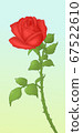 Vector illustration of a rose 67522610