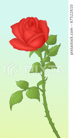 Vector illustration of a rose Vector illustration of a rose 67522610