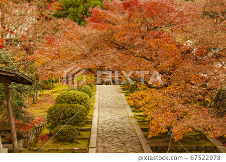 京都秋天的觀光勝地仁南安一急寺 67522978
