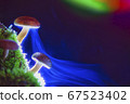 Spore release of mushrooms 67523402