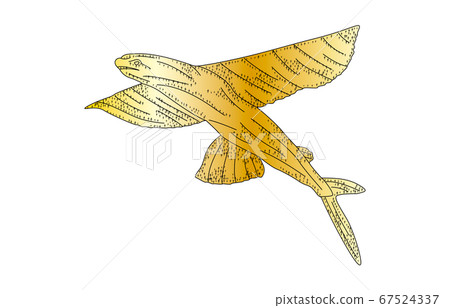 88 constellation with shadow without line 88 constellation with shadow without line 67524337