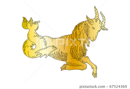 88 constellation with shadow without line gold Capricorn 67524369