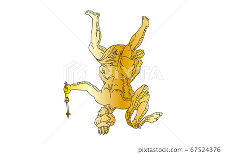 88 constellation with shadow without line gold kepheus 88 constellation with shadow without line gold kepheus 67524376