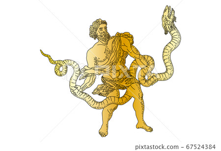 88 constellation with shadow without line Gold Ophiuchus 67524384