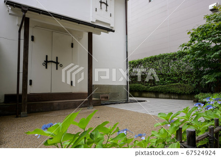 Hydrangea of Izumi Kyoka Memorial Museum 67524924