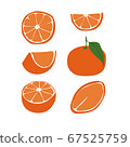 tangerine, mandarin 67525759