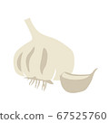 garlic 67525760