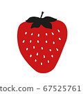 strawberry 67525761