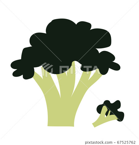 broccoli broccoli 67525762