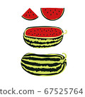 watermelon 67525764
