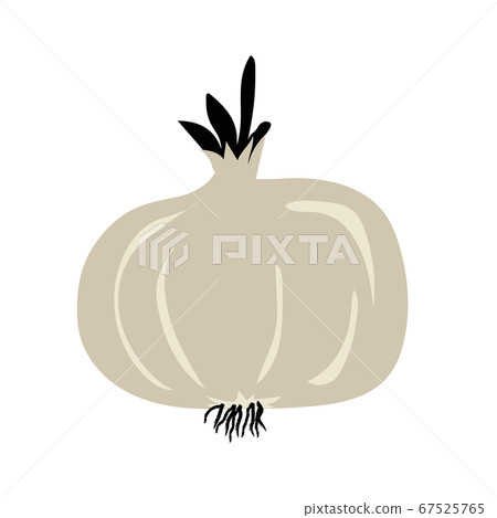 onion onion 67525765