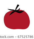 tomato 67525786