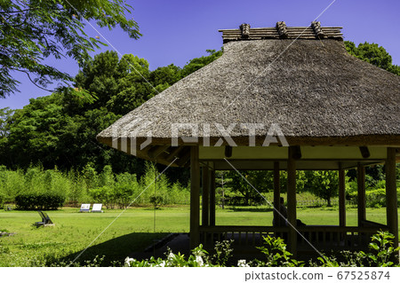 愛媛縣松山市道後溫泉道後公園柚月城遺址 67525874