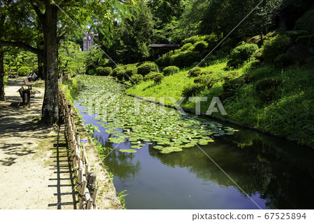 Dogo Onsen Dogo Park Yuzuki Castle Ruins Matsuyama City, Ehime Prefecture Dogo Onsen Dogo Park Yuzuki Castle Ruins Matsuyama City, Ehime Prefecture 67525894
