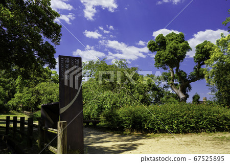 Dogo Onsen Dogo Park Yuzuki Castle Ruins Matsuyama City, Ehime Prefecture Dogo Onsen Dogo Park Yuzuki Castle Ruins Matsuyama City, Ehime Prefecture 67525895