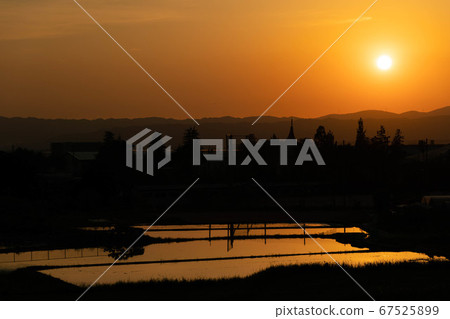 Sunset over the rice fields in the distance 67525899