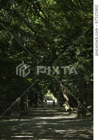 Path to the shrine of Sunbeams 67525902