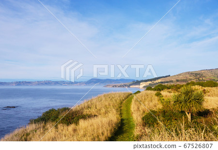New Zealand coast 67526807
